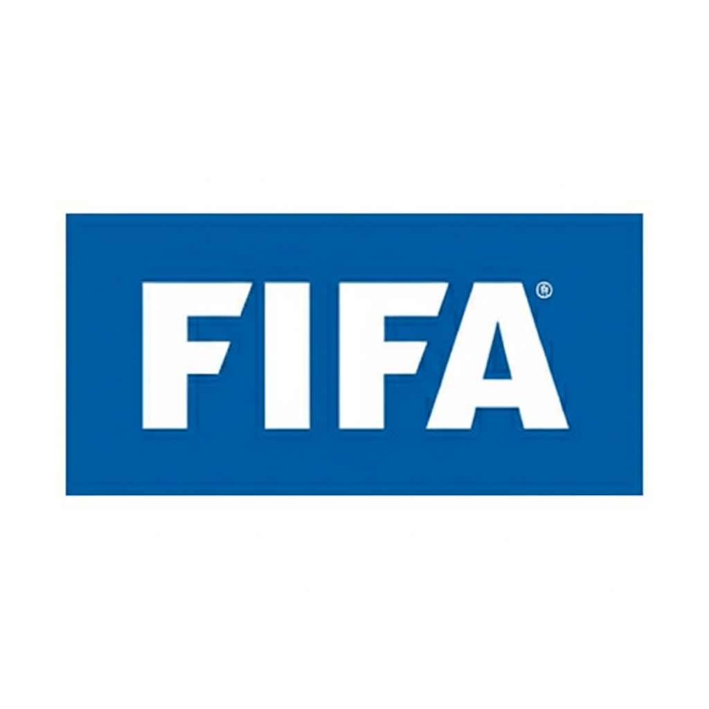 FIFA flag